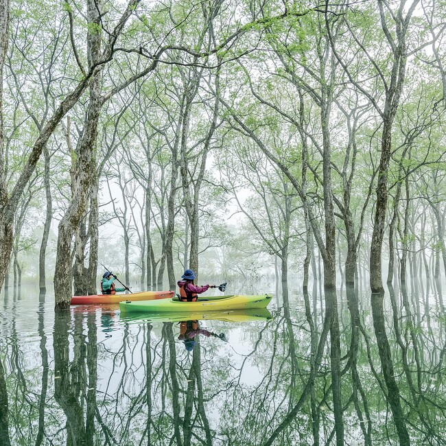 2025年白川湖の水没林 開幕します。今年も続く、いいでカヌークラブの挑戦！