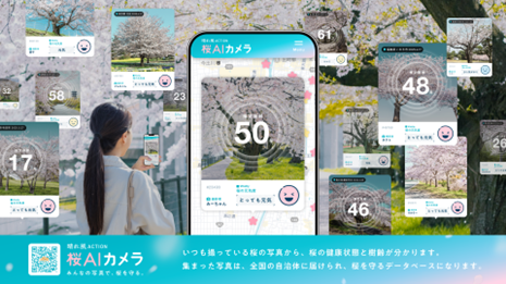 桜の健康状態や樹齢を判定して桜を守る「晴れ風ACTION 桜AIカメラ」をリリース