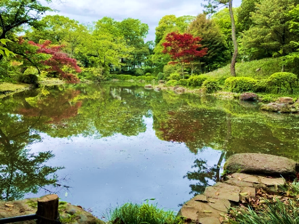 自治体単独の認定は都内初！区立有栖川宮記念公園（水辺周辺）が「自然共生サイト」に認定されました！