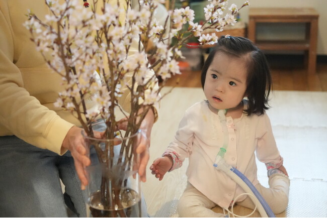 3年目の開催！外出が難しい障害児に「おうちでお花見」をプレゼント