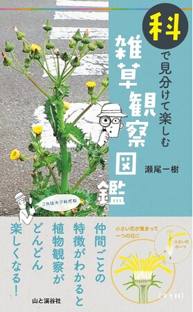 植物の「仲間ごと」の特徴を知ることで、観察が楽しくなる。 SNSで、約2万回植物の名前を答え続けた著者による 『科で見分けて楽しむ　雑草観察図鑑』刊行