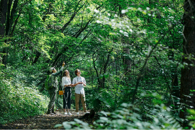 【星のや軽井沢】1日1組限定、3種のバードウォッチングで軽井沢の森を愉しむエコツアー「軽井沢ネイチャーステイ-春-」