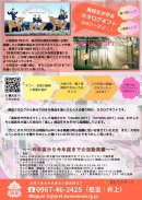 高校生が作るギフト チラシ(裏) 高校生が作るギフト チラシ(裏)