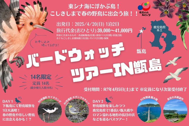 【4月20日(日)出発】バードウォッチツアーin甑????島を開催します!