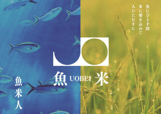 「魚べい」から 新生「魚米（うおべい）」が誕生！ブランド旗艦店「鶴田店」 2025年3月27日グランドオープン！