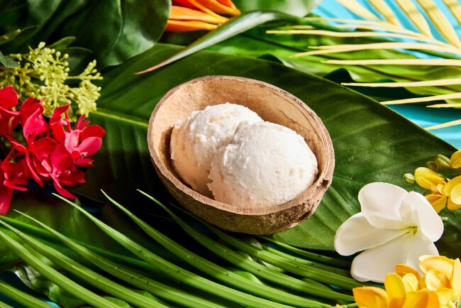 日本上陸時に行列を生んだ、ココナッツアイスクリームブランド「ココナッツグレン」が沖縄に上陸！「ココナッツグレン アラハ店」2025年4月12日（土）オープン