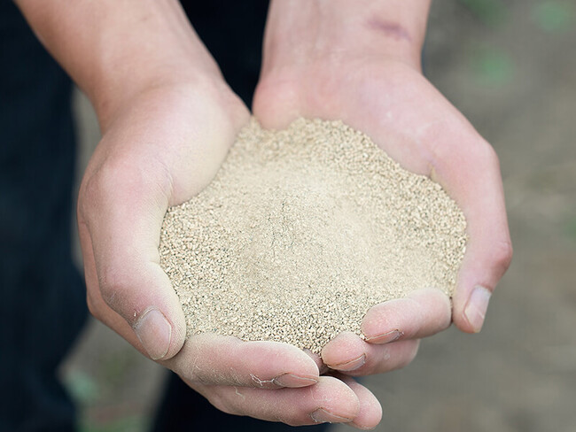 高まる需要に応え、国産「菌根菌」生産量拡大