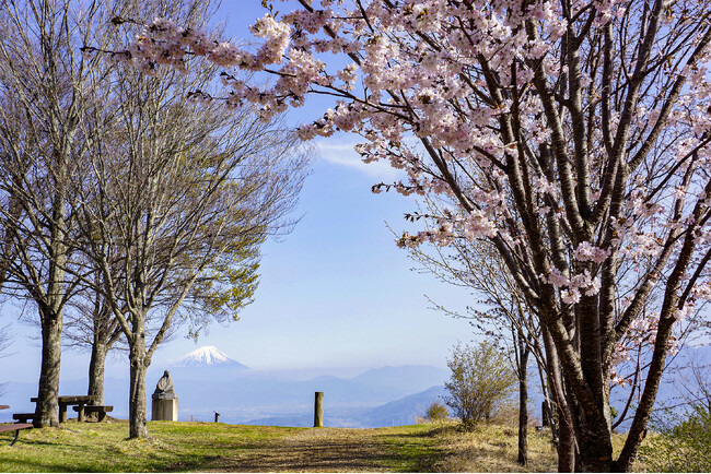 【信州八ヶ岳】4月5日（土）富士見高原リゾートの天空カート運行開始！