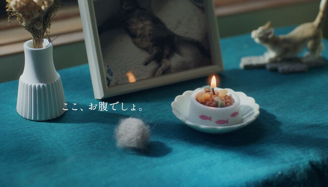 虹のかなたで待っているペットちゃんへの愛情あふれる動画完成!