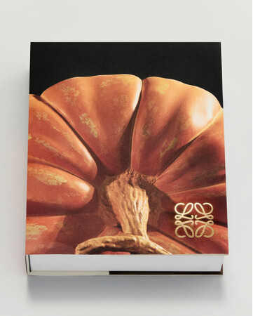 【ロエベ】ジョナサン・アンダーソンの10年間を収めた大判モノグラフ『Crafted World: Jonathan Anderson’s LOEWE』が発売