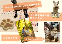 犬の健康革命！ゼロポジション(正しい姿勢)に導く「にくきゅうバランスディスク」CAMPFIREで先行予約販売開始