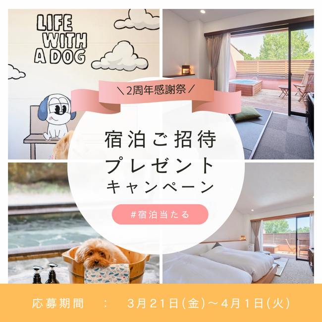 ～2周年記念～ご宿泊券プレゼント！“愛犬と泊まる’’全5室の温泉ホテル【ドギーズ 伊豆城ヶ崎】