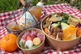 お花見ピクニックセット お花見ピクニックセット