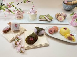 桜メイン画像 桜メイン画像