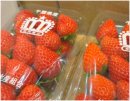 千葉県産のいちごが登場(写真はイメージです) 千葉県産のいちごが登場(写真はイメージです)