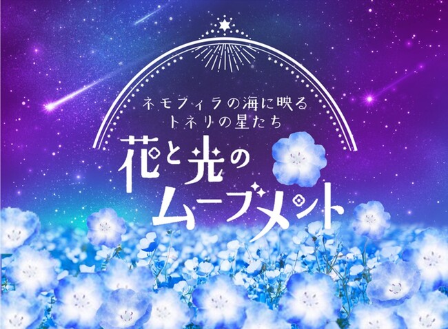 「『花と光のムーブメント』舎人公園 ネモフィラの海に映るトネリの星たち」2025年4月11日（金）～29日（火・祝）開催