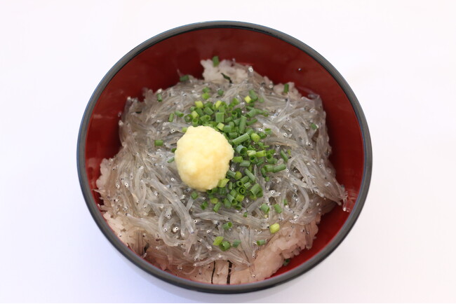 「用宗港」にてしらす漁が3月21日(金)に解禁｜初日の水揚げ量は約400Kg！「生しらす丼」などとれたてのしらすが堪能できるメニューも発売！