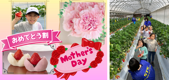 【こどもの休日の過ごし方】カーネーションのフラワーアレンジメントとイチゴ大福作り体験!