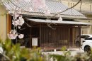 春は桜が満開 春は桜が満開