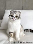 展示作品(2) 展示作品(2)