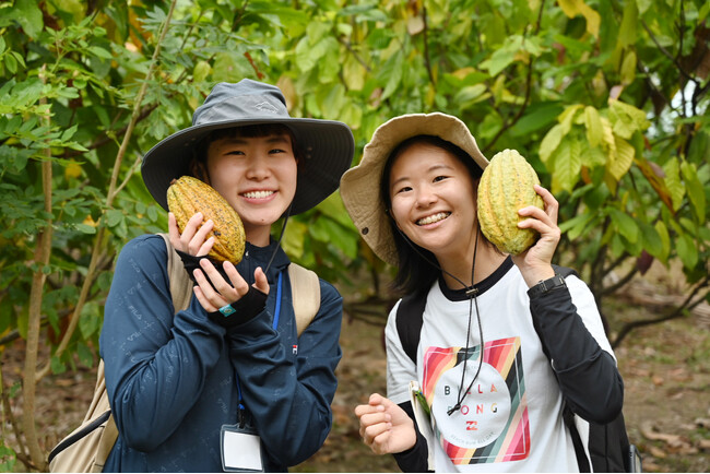 【夏のカカオ農園ツアー】京都チョコレートブランド「dari K（ダリケー）」がカカオ産地インドネシア スラウェシ島へのツアーを開催。