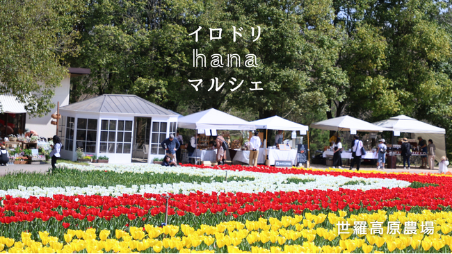 【広島／世羅】今年も開催！チューリップ畑でお買い物を楽しもう　イロドリhanaマルシェ《世羅高原農場》