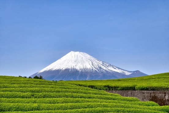 【3/25より】「【静岡県】最大500万円/中小企業等収益力向上事業費補助金」の申請サポートを開始します！【助成金なう】