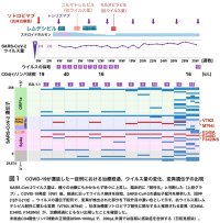 免疫不全患者における難治性COVID-19の臨床および分子病態を解明