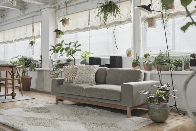 家具と植物が織りなす新発想EC『tiflo』オープン！暮らしを彩る新たなオンライン体験を提供