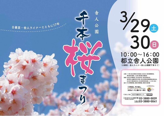 【東京都足立区】満開までもうすぐ！1,000本の桜の下で春を楽しむ「舎人公園千本桜まつり」を開催します！