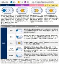 グローバル市場見通し（2025年3月）～新興国株式の見通しを強気に引き上げ～