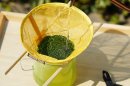 ドリップタイプの茶葉
