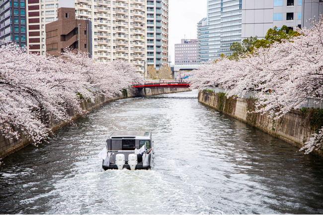 お花見シーズン到来 ”桜 BAR STYLEお花見クルーズ” 好評販売中