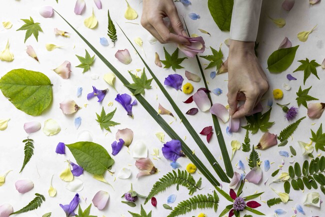 【星のや軽井沢】夏の軽井沢を五感で堪能する“医師監修のウェルネスプログラム”「軽井沢 夏の健幸滞在」今年も実施