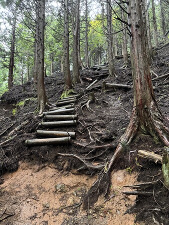登山道の維持・管理における情報収集や整理などを効率化する「登山道維持管理DXシステム」 ３月２８日から箱根町で「書類自動生成」機能実装に向けた実証実験