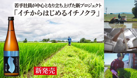 一ノ蔵 若手・中堅社員のプロジェクト！「一ノ蔵 特別純米酒 辛口 吟のいろは」新発売