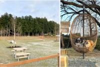 愛犬と楽しむ「那須千本松牧場」ドッグランが春のリニューアル！