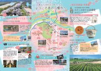 背割堤の桜を起点に周辺観光を促す2種のパンフレット発行　歴史・文化・絶景を満喫する京都乙訓・八幡の春の旅