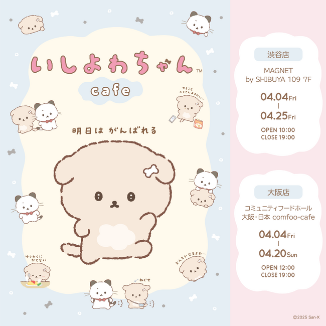 Xアカウント開設から9カ月で6.5万人のフォロワーを突破したサンエックスの話題のキャラクター“いしよわちゃん”初の「いしよわちゃんカフェ」が渋谷・大阪で開催！