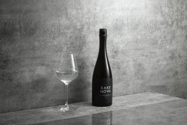 SAKENOVA 2023 SAKENOVA 2023