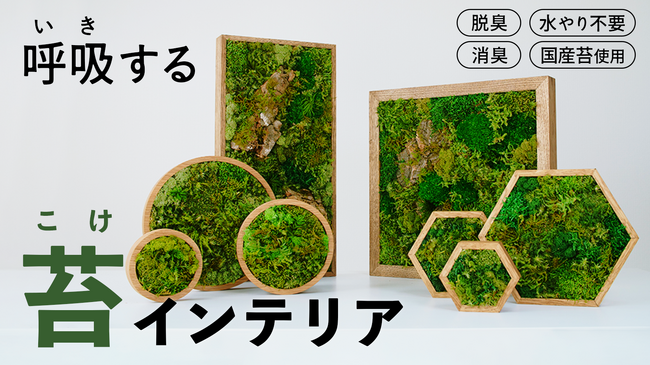 Makuakeにて開始わずか5分で目標達成！植物のインテリア革命。絵画や観葉植物に代わる、新しい選択肢――それがKOKE。【3/28より先行発売スタート】