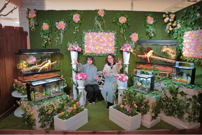 【奈良いきものミュージアム】春の妖精の花園「BLUME ～爬虫類に花束を～」を開催！希少なシルバーのイグアナや、可愛いお菓子のような色合いのヤモリが、春の花々と出会う幻想的な特別展示