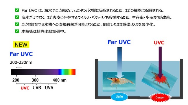 富士養鱒漁業協同組合、Far UVC技術を導入しニジマスの魚病感染リスク低減へ　～富士山の恵みである湧水の安全性をさらに向上、組合員の事業拡大を支援～