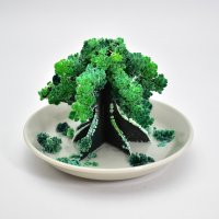 人気和雑貨の新商品！数時間でモコモコ茂る不思議な「盆栽」が登場新作の夏の風物詩“風鈴”「富士山」デザインは4月中旬発売