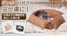 【毛玉の悩み解決】隠れる猫の習性と楽しさ 温度と汚染管理が楽なカサカサ隠れハウスを最大35パーセントオフで応援購入できるクラウドファンディングのプロジェクト実施