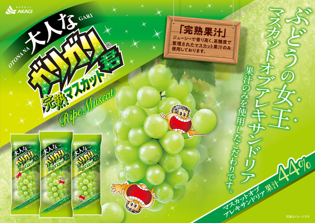 春のガリガリ君新商品は爽やかなマスカット!! “ぶどうの女王”マスカットオブアレキサンドリア果汁を44%使用! 完熟したジューシーなぶどうの美味しさをご堪能ください!「大人なガリガリ君完熟マスカット」