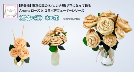 もっと身近にもっと気軽に!檜原村で育った木々が加工過程に排出される“カンナ屑”に再び命を宿らせた美しいバラ!大人気の天然精油使用のデフューザーシリーズを揃え発売 もっと身近にもっと気軽に!檜原村で育った木々が加工過程に排出される“カンナ屑”に再び命を宿らせた美しいバラ!大人気の天然精油使用のデフューザーシリーズを揃え発売