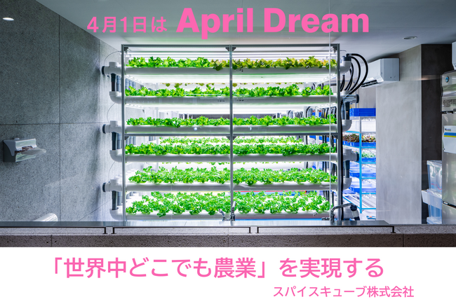 農業は、農家だけのものじゃない。これからは、みんなで育てる。スパイスキューブ株式会社の挑戦