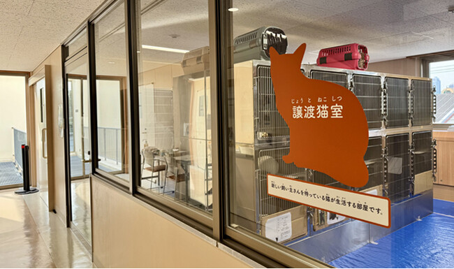 アニコム、川崎市動物愛護センター譲渡猫室のネーミングライツを取得