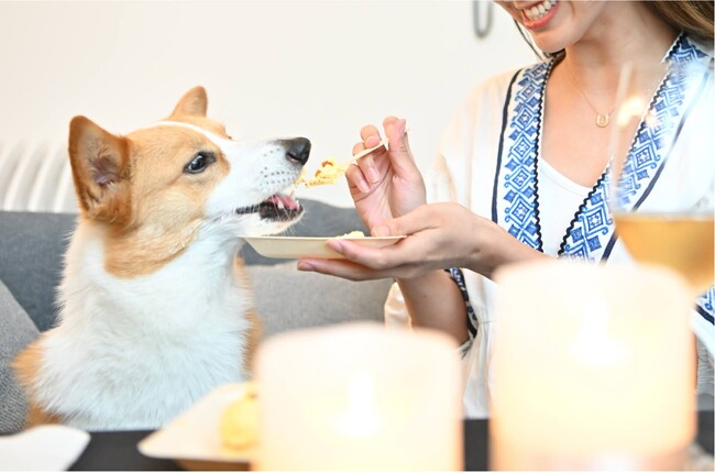 北軽井沢のドッグフレンドリーなヴィラリゾート「あさま空山望」、「愛犬の無添加ごちそう付きプラン」を4月18日（金）より提供開始
